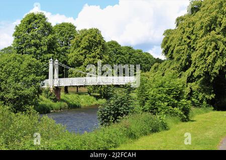 Priorsford Bridge - malerische weiße Fußgängerbrücke über den Fluss Tweed. Hier im Sommer gesehen, umgeben von üppigen grünen Laubbäumen (Peebles, Schottland) Stockfoto