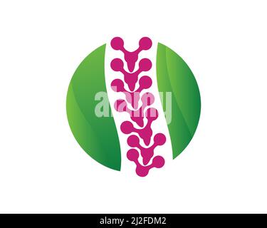 Symbol für Chiropraktisches Wellness-Center und Wirbelsäulenpflege Stock Vektor