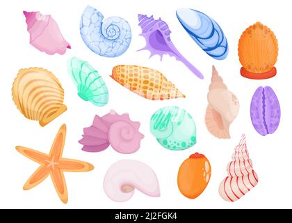 Mehrfarbige handgezeichnete Muschelschale flaches Element Set für Webdesign. Cartoon bunte Meer und Meer Muscheln isoliert Vektor Illustration Sammlung. Dekorativ Stock Vektor