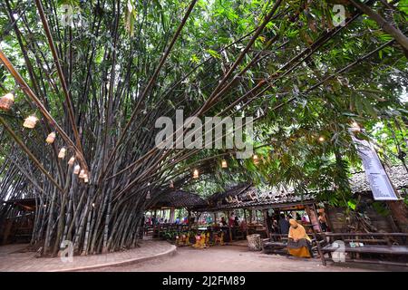 Südliche Tangerang. 1. April 2022. Das Foto vom 1. April 2022 zeigt eine Ansicht eines Restaurants namens Warung Tuman in South Tangerang, Indonesien. Das Restaurant liegt im Wald und ist vor Ort für seine javanesische und westsumatraische Küche berühmt. Einheimische und Menschen aus nahe gelegenen Städten wie Jakarta kommen hierher, um Speisen in der Umarmung der Natur zu genießen. Quelle: Xu Qin/Xinhua/Alamy Live News Stockfoto