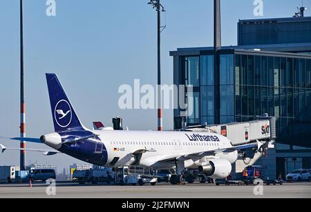 28. März 2022, Brandenburg, Schönefeld: Ein Lufthansa-Passagierflugzeug auf dem Gelände des Flughafens Berlin-Brandenburg (BER) der Hauptstadt. Foto: Patrick Pleul/dpa-Zentralbild/ZB Stockfoto