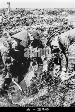 1920 Suchpartei der Imperial war Graves Commission / CWGC gräbt tote Soldaten aus dem Ersten Weltkrieg aus, die im Ersten Weltkrieg gefallen sind Stockfoto