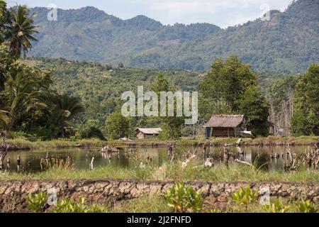 Bergbarsch über einer Fischfarm im Mamuju Regency, Indonesien. Stockfoto