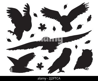 Vektor flach schwarz Set Bundle von Eulen Silhouette auf weißem Hintergrund isoliert Stock Vektor