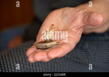 Ältere ältere Frau, die ein Hörgeräteinstrument in der Hand hält, Nahaufnahme Stockfoto