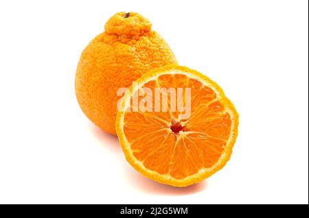 Schneiden Sie Sumo Orange isoliert auf einem weißen Hintergrund aus Stockfoto