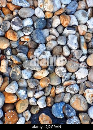 Mehrfarbige Kieselsteine in einer Gartenterrasse.Dies ist eine unkrauthemmende Möglichkeit, einen wartungsarmen Garten zu halten, da sie sich über eine schwarze Unterschicht erstrecken Stockfoto