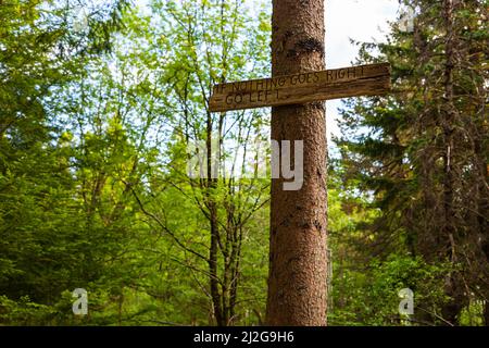 Bergen, Norwegen - 28. Mai 2018: Wahrzeichen auf dem Floyen-Hügelweg. Stockfoto