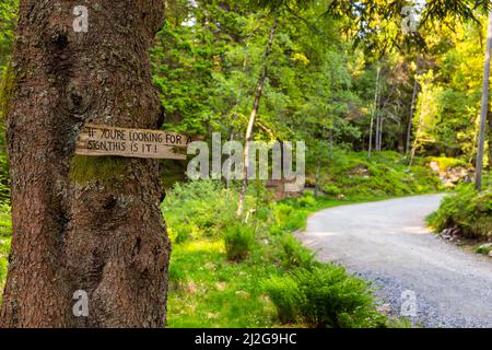 Bergen, Norwegen - 28. Mai 2018: Wahrzeichen auf dem Floyen-Hügelweg. Stockfoto