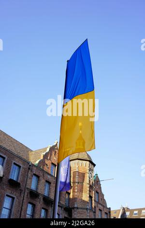 Ukrainische Flagge und Flagge der Europäischen Union vor dem alten Rathaus in Düsseldorf. Stockfoto