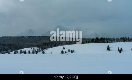Schnee bedeckt die Sawtooth Mountains im Sawtooth National Recreation Area, Stanley, Idaho Stockfoto