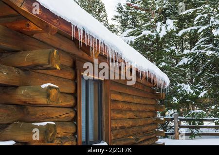 Eiszapfen, die im Winter vom schneebedeckten Dach der Kabine tropfen Stockfoto
