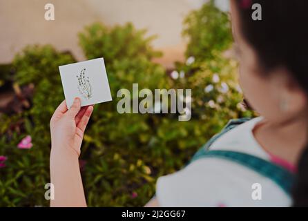 Ich muss diesen hier identifizieren. Ausgeschnittene Aufnahme eines unerkennbaren jungen Mädchens, das ein Plakat mit einer Pflanzenzeichnung in der Hand hält, während es zu Hause die Pflanzen analysiert. Stockfoto