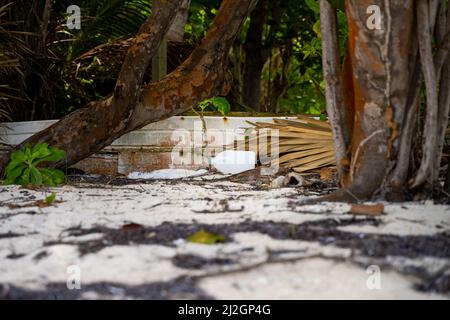 Ein Schuss Plastikmüll am Strand in der Dominikanischen Republik. Stockfoto