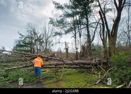 Bedminster, Usa. 01. April 2022. Paul Burger hilft, Baumtrümmer aus dem Haus seiner Tochter und seines Schwiegersohns zu entfernen, nachdem Gewitter große Schäden an Häusern und Eigentum in der Gegend verursacht und 150 Häuser am Freitag, den 01. April 2022, in Bedminster, Pennsylvania, aus dem Strom geschlagen hat. Der nationale Wetterdienst untersucht, ob ein Tornado tatsächlich angerührt wurde und die Ursache des Schadens war. Kredit: William Thomas Cain/Alamy Live Nachrichten Stockfoto