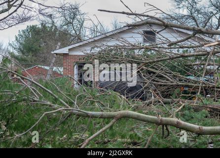 Bedminster, Usa. 01. April 2022. Die beiden Fahrzeuge von Aly Reis und ihrem Brandon sind von Bäumen bedeckt, nachdem Gewitter am Freitag, den 01. April 2022, in Bedminster, Pennsylvania, schwere Schäden an Häusern und Grundbesitz in der Gegend verursacht und 150 Häuser aus dem Strom gerissen haben. Der nationale Wetterdienst untersucht, ob ein Tornado tatsächlich angerührt wurde und die Ursache des Schadens war. Kredit: William Thomas Cain/Alamy Live Nachrichten Stockfoto