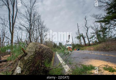 Bedminster, Usa. 01. April 2022. Linemen schneiden Bäume nach Gewittern verursacht großen Schaden an Häusern und Eigentum in der Gegend und klopfte Strom 150 Häuser Freitag, 01. April 2022 in Bedminster, Pennsylvania. Der nationale Wetterdienst untersucht, ob ein Tornado tatsächlich angerührt wurde und die Ursache des Schadens war. Kredit: William Thomas Cain/Alamy Live Nachrichten Stockfoto