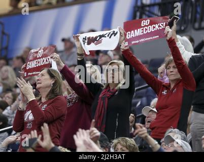 Minneapolis, Usa. 01. April 2022. South Carolina Gamecocks-Fans jubeln in der zweiten Spielhälfte eines der vier Halbfinals der Frauen im Target Center in Minneapolis am Freitag, dem 1. April 2022, gegen die Louisville Cardinals an. Foto von Aaron Joseczfyk/UPI Credit: UPI/Alamy Live News Stockfoto