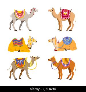 Kamel Set für Wüstenkarawane. Cartoon-Vektorgrafiken. Gruppe von niedlichen baktrischen und Dromedarkamelen isoliert auf weißem Hintergrund. Lustige Tiere mit Stock Vektor