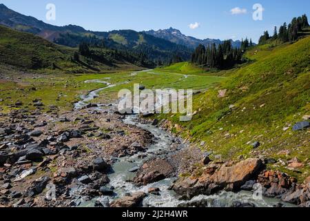 WA21269-00...WASHINGTON - Geflochtener Gletscherschmelzwasserbach, der vom White Chuck Glacier in der Glacier Peak Wilderness absteigt. Stockfoto