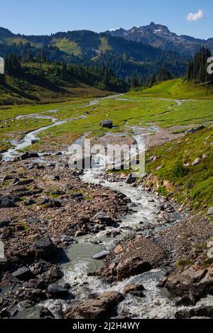 WA21270-00...WASHINGTON - Geflochtener Gletscherschmelzwasserbach, der vom White Chuck Glacier in der Glacier Peak Wilderness absteigt. Stockfoto