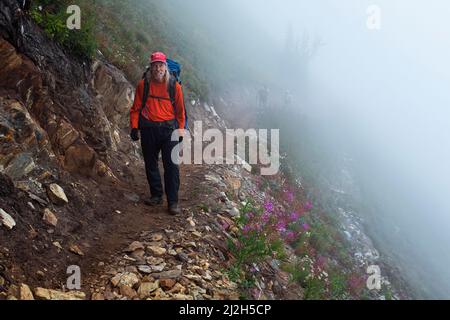 WA21301-00...WASHINGTON - Wanderer, die über einen nebligen Hügel auf dem Pacific Crest Trail in der Nähe des Red Pass in der Glacier Peak Wilderness Area wandern. Stockfoto