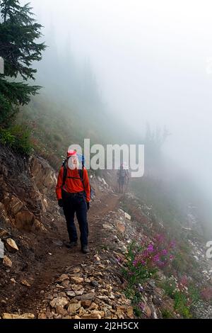 WA21302-00...WASHINGTON - Wanderer, die über einen nebligen Hügel auf dem Pacific Crest Trail in der Nähe des Red Pass in der Glacier Peak Wilderness Area wandern. Stockfoto