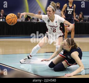 Minneapolis, Usa. 01. April 2022. Die Stanford Cardinals Lexie Hull (12) verliert die Kontrolle über einen Pass, während sie von Connecticut Huskies Paige Bueckers (5) in Spiel zwei der vier Halbfinals der Frauen im Target Center in Minneapolis am Freitag, dem 1. April 2022, verteidigt wurden. Foto von Aaron Joseczfyk/UPI Credit: UPI/Alamy Live News Stockfoto