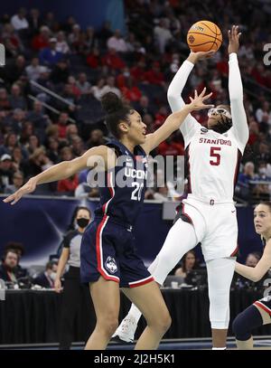 Minneapolis, Usa. 01. April 2022. Die Stanford Cardinals Frandesca Belbi (5) schießt am Freitag, den 1. April 2022, im zweiten Spiel der vier Halbfinals der Frauen im Target Center in Minneapolis über die Connecticut Huskies Olivia Nelson-Ododa (20). Foto von Aaron Joseczfyk/UPI Credit: UPI/Alamy Live News Stockfoto