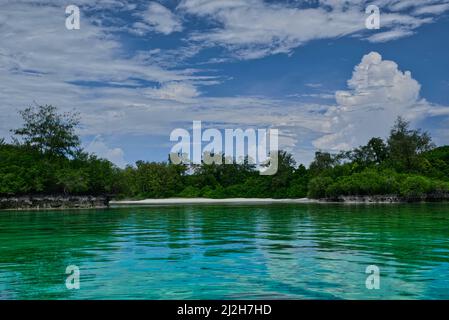 Der Anbau von Algen in West Little Kei wurde @West Kei kecil, Southeast Maluku Regency, Maluku, Indonesien, durchgeführt Stockfoto