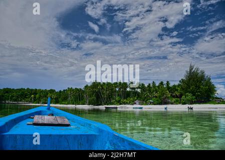 Der Anbau von Algen in West Little Kei wurde @West Kei kecil, Southeast Maluku Regency, Maluku, Indonesien, durchgeführt Stockfoto