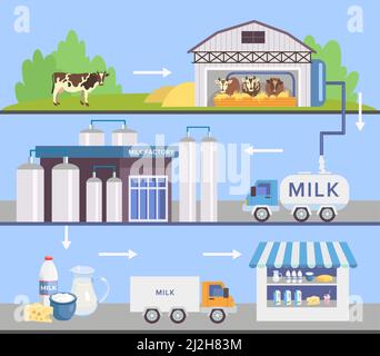 Milk Factory Set mit automatischen Maschinen. Stufen der Milchproduktion eingestellt. LKW, grasende Kühe, Melkmaschinen, Milchprodukte Shop. Für Milchprodukte, Lebensmittelindu Stock Vektor