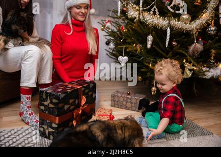 Ein zweijähriges Kind sitzt auf dem Boden und füttert einen Mischlingshund mit Leckereien. Stockfoto