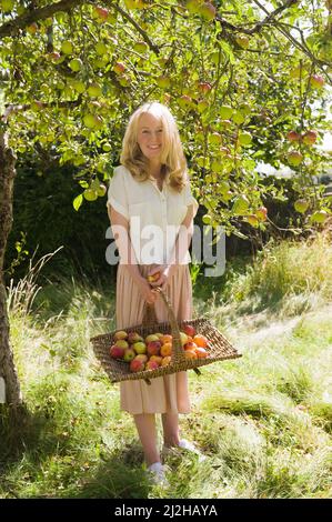 Porträt einer lächelnden Frau mit Korb mit frisch gepflückten Äpfeln im Obstgarten Stockfoto