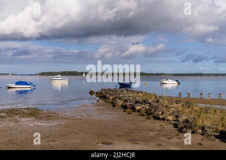 Die Strelasund-Küste auf der Devin-Insel bei Stralsund, Mecklenburg-Vorpommern, Deutschland Stockfoto