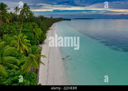 Ngurbloat Beach ist ein wunderschöner Strandabschnitt mit wehenden Kokospalmen mit weißem Sand, der am besten mit Mehl verglichen werden kann. Die Wellen Stockfoto