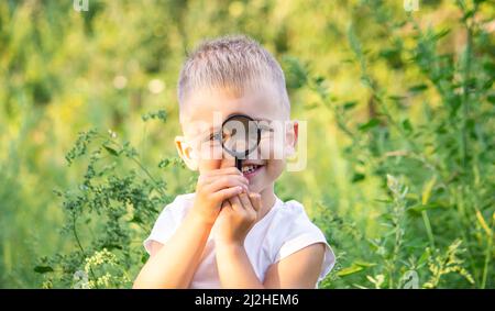 Kleiner Junge, der die Natur auf der Wiese mit einer Lupe erkundet und Blumen betrachtet. Neugierige Kinder im Wald, ein zukünftiger Botaniker. Stockfoto