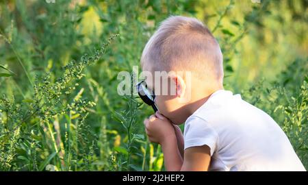 Kleiner Junge, der die Natur auf der Wiese mit einer Lupe erkundet und Blumen betrachtet. Neugierige Kinder im Wald, ein zukünftiger Botaniker. Stockfoto