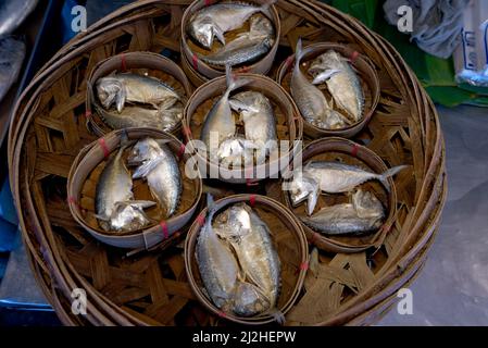 Thailand Makrele kleine Fische einzigartig am Golf von Thailand mit seiner kleinen Größe und runden und kurzen Form Stockfoto