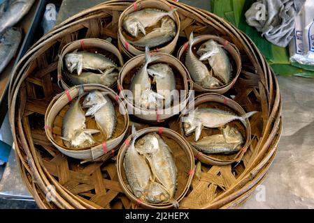 Thailand Makrele kleine Fische einzigartig am Golf von Thailand mit seiner kleinen Größe und runden und kurzen Form Stockfoto