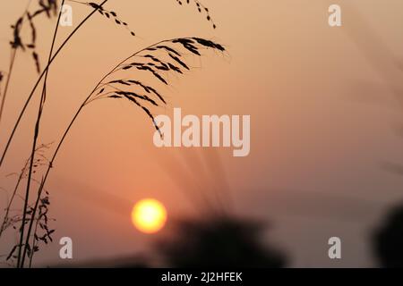Unschärfe-Foto des Sonnenuntergangs Hintergrund, indien Stockfoto