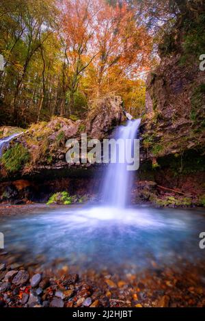 Wasserfall mit Herbstlaub in Fujinomiya, Japan. Stockfoto