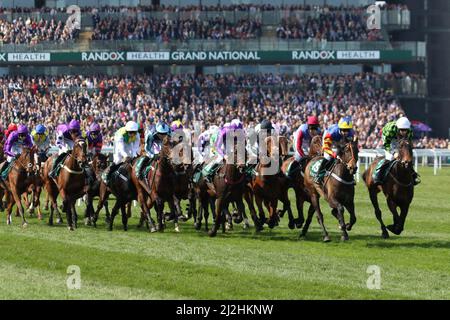 Läufer und Fahrer auf der Aintree Racecourse, Liverpool, Großbritannien, April 2019. 13:45 Uhr Grand National Meeting. Beginn der Gaskells Handicap Hürde (Grad 3) (Klasse 1) (4YO plus). Stockfoto