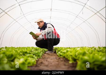 Farmer Plantation Qualitätsprüfung durch Tablette Landwirtschaft modernes Technologiekonzept. Smart Farming mit modernen Technologien in der Landwirtschaft. Man agron Stockfoto