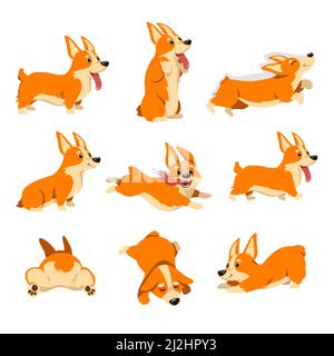 Corgi Hund Charakter mit verschiedenen Emotionen gesetzt. Vektor-Illustrationen von Corgi-Posen. Cartoon Comic Welpen schlafen, niedlich freundlich doggy sitzend isolat Stock Vektor