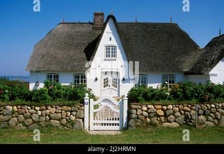 Haus in Morsum, Insel Sylt, Schleswig-Holstein, Deutschland, Europa Stockfoto