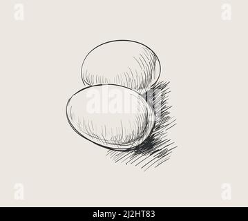 Eier. Hühnereier. Skizzenvektor Handgezeichnete Illustration Stock Vektor