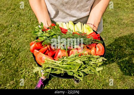 Gemüsesalat - Tomaten, Gurken, Paprika und Petersilie. Auf einem Teller in den Händen eines Mädchens in der Natur. Stockfoto