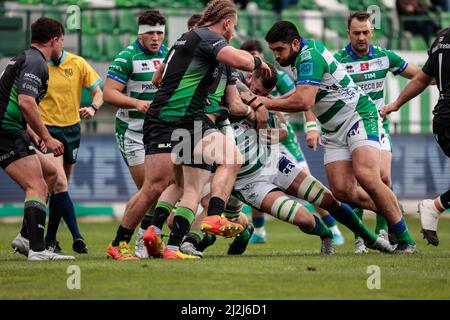 Treviso, Italien. 02. April 2022. Sebastian Negri (Benetton Rugby) während Benetton Rugby vs Connacht Rugby, United Rugby Championship match in Treviso, Italien, April 02 2022 Kredit: Unabhängige Fotoagentur/Alamy Live Nachrichten Stockfoto