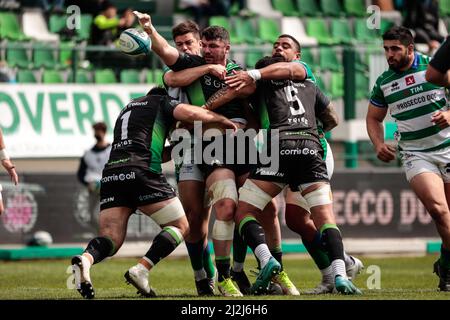 Treviso, Italien. 02. April 2022. Sammy Arnold (Connacht Rugby) während Benetton Rugby vs Connacht Rugby, United Rugby Championship match in Treviso, Italien, April 02 2022 Kredit: Unabhängige Fotoagentur/Alamy Live Nachrichten Stockfoto